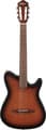 FRH10N (brown sunburst)