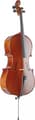 VNC-4/4 Solid Spruce Cello (incl. bag)
