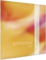 Perpetual Orchester Kontrabass 3/4 String Set