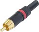 Connecteurs audio RCA