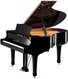Acoustic & Grand Pianos