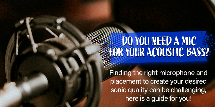 Looking for a Microphone for your acoustic bass?