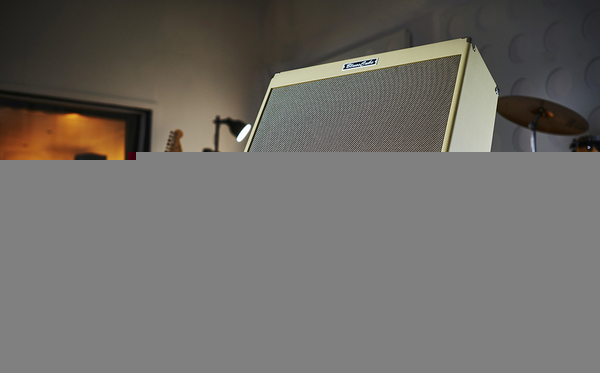 Compatible avec les amplificateurs BOSS et Roland